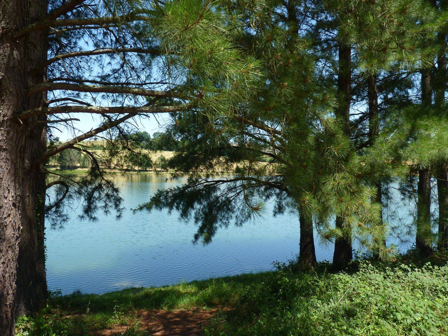 Photo de Lac de Serres-Castet