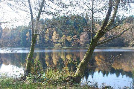 Photo de Lac de Faux la Montagne