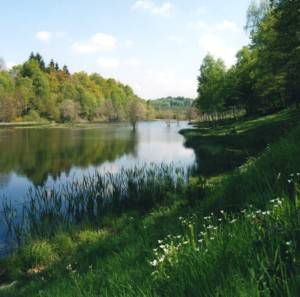 Photo de Etang du Portail de Treignac