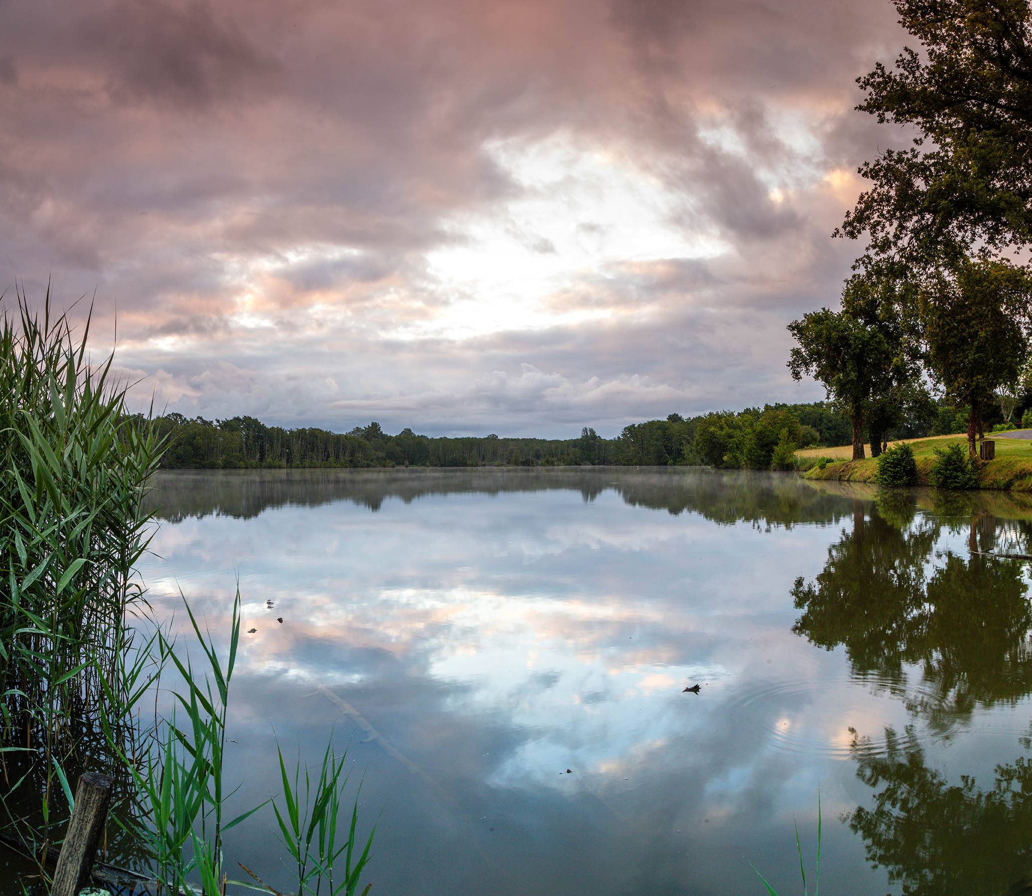 Photo : Grand Etang