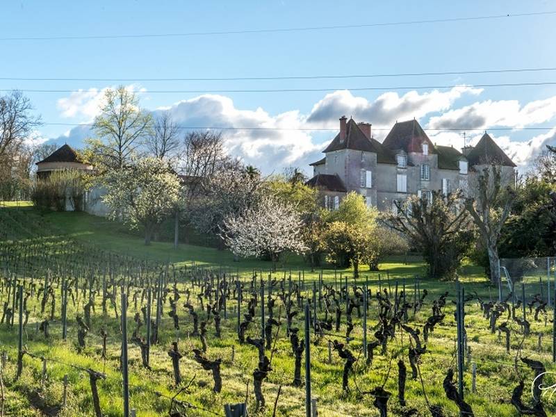 Photo de Château de Chelivette