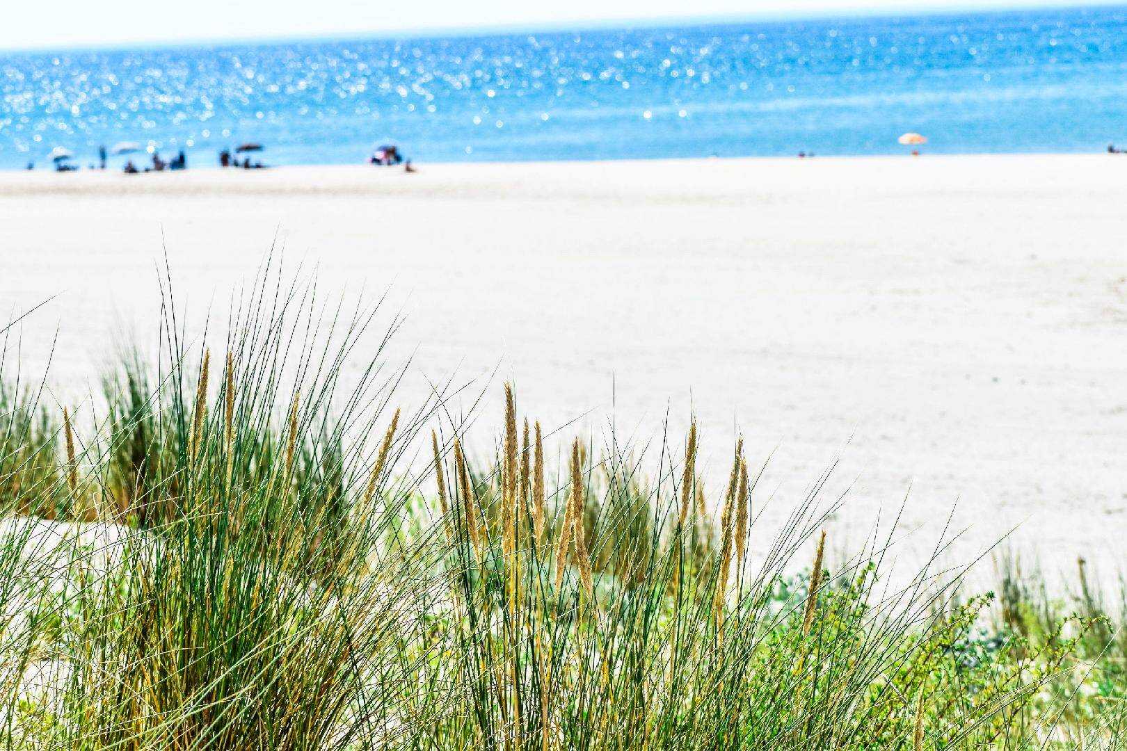 Photo de Plage des Olives surveillée de Soulac (zone de bain Nord)