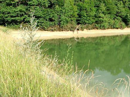 Photo de Lac de Platan