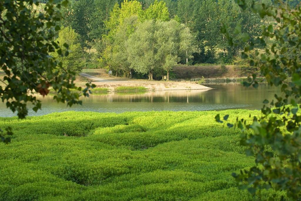 Photo : Lacs de Nerbis
