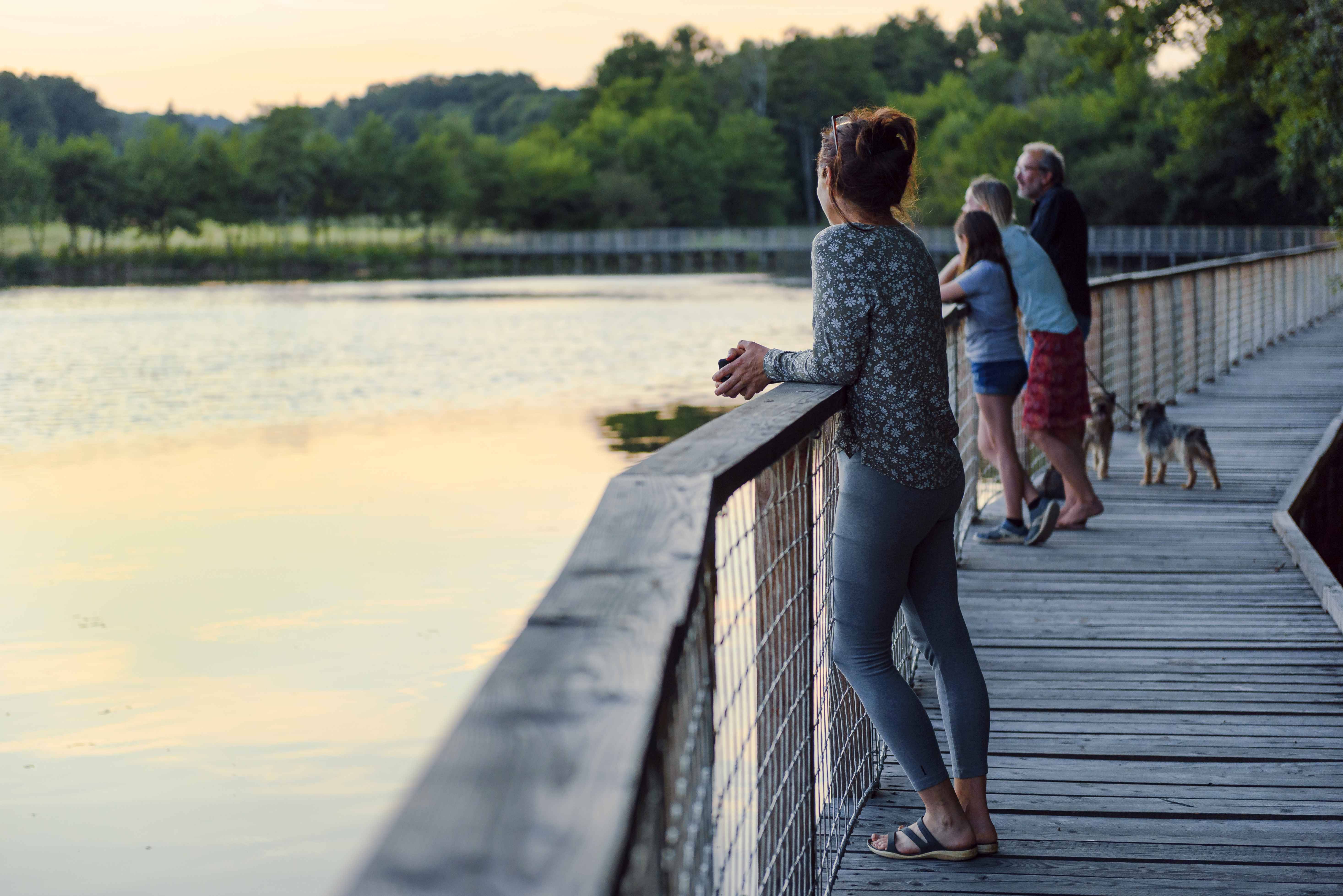 Photo de Étang de la Besse