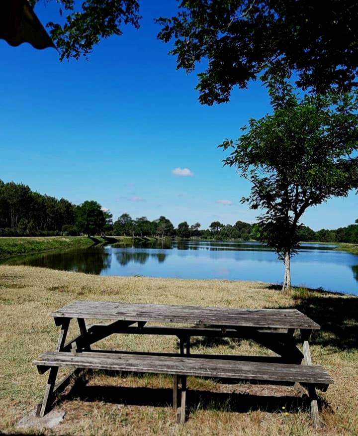 Photo : Etang de la Levade