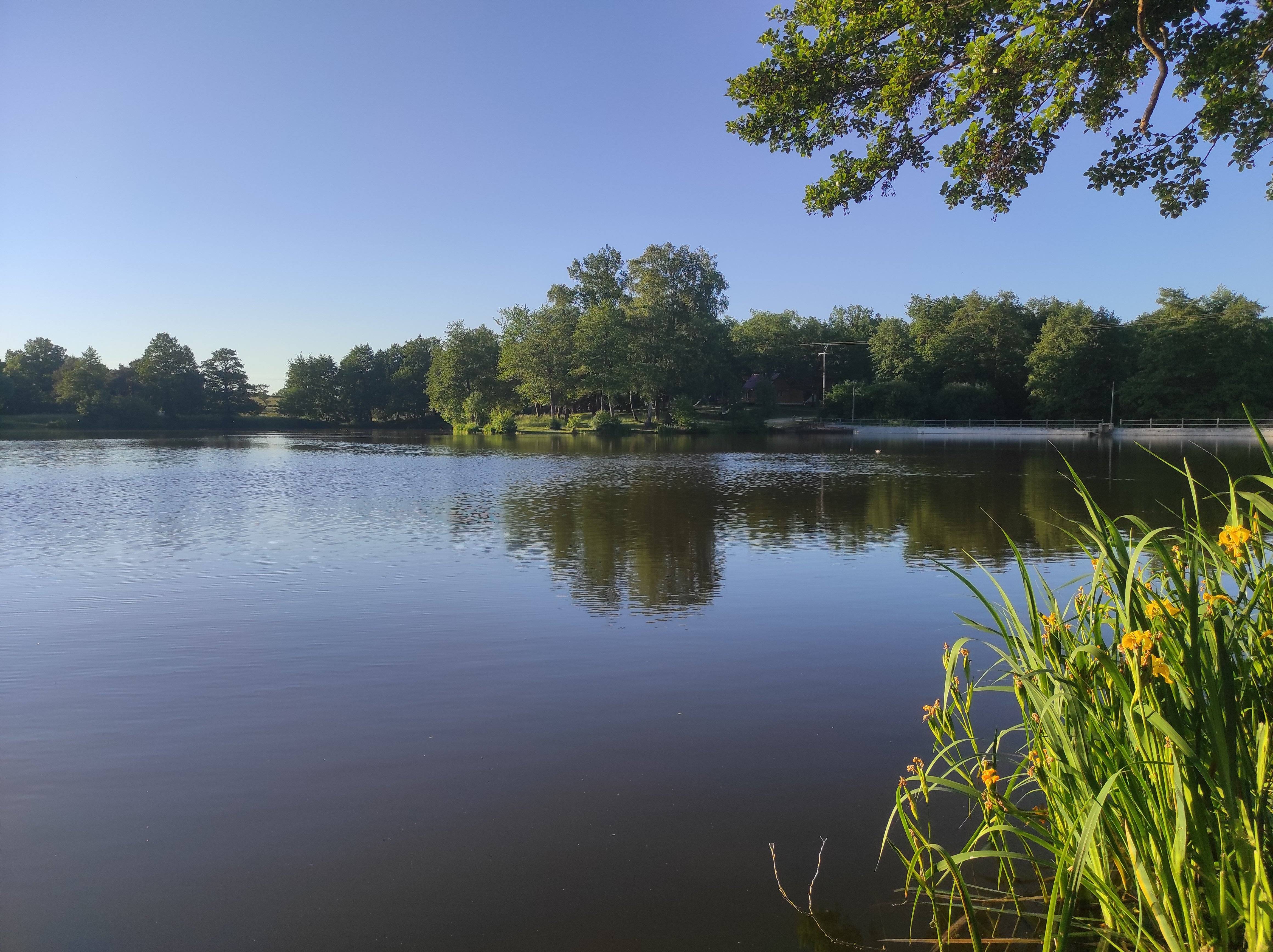 Photo de Etang de Malleteix