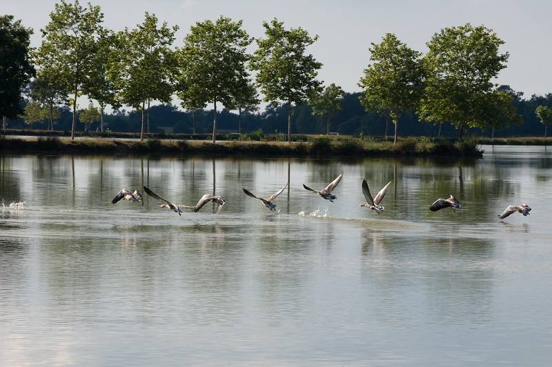 Photo : Lac de Tastoa