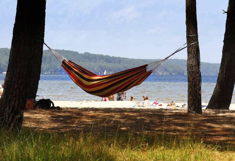 Photo : Plage de Navarrosse