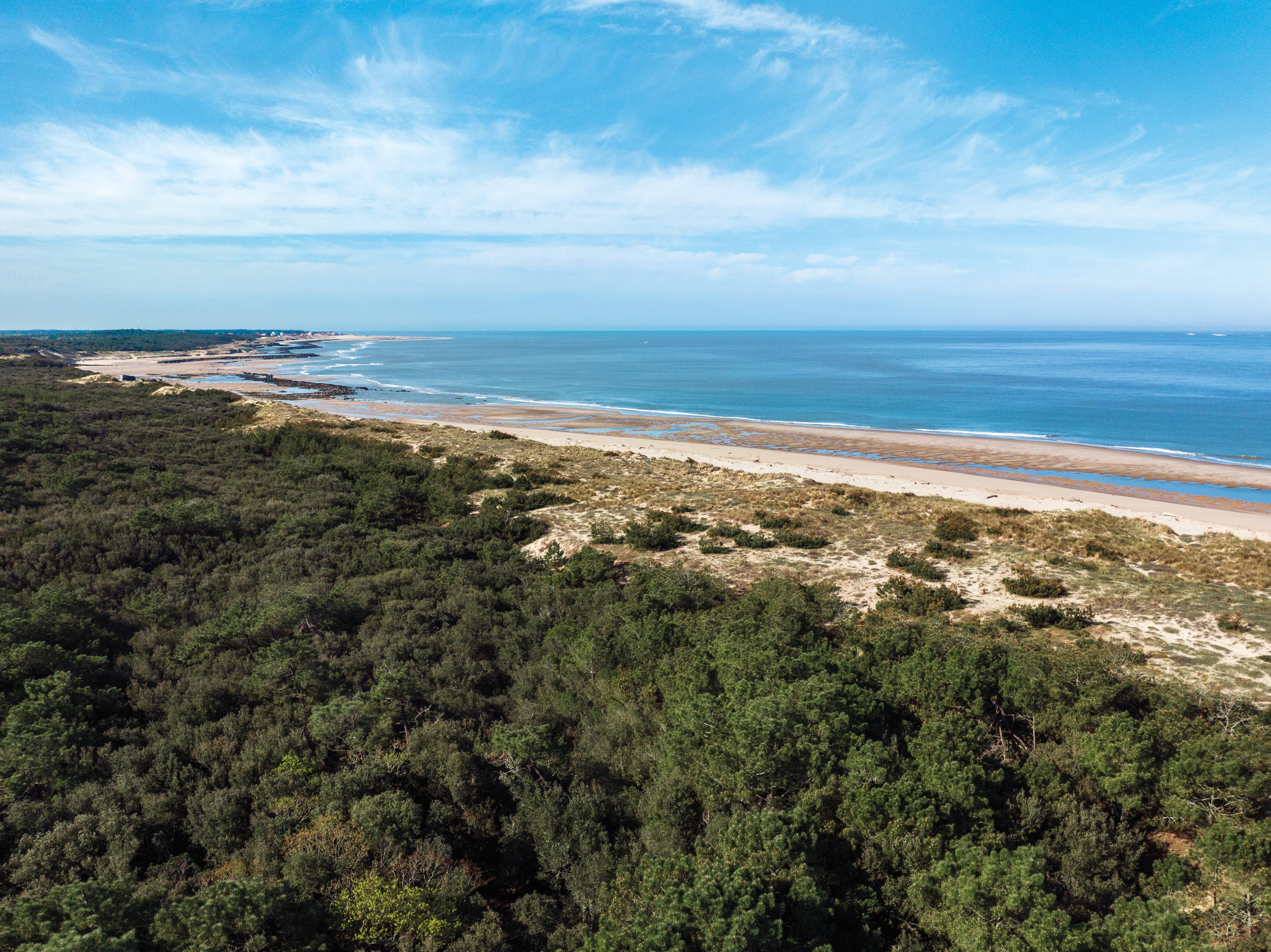 Photo de Dune Saint-Nicolas