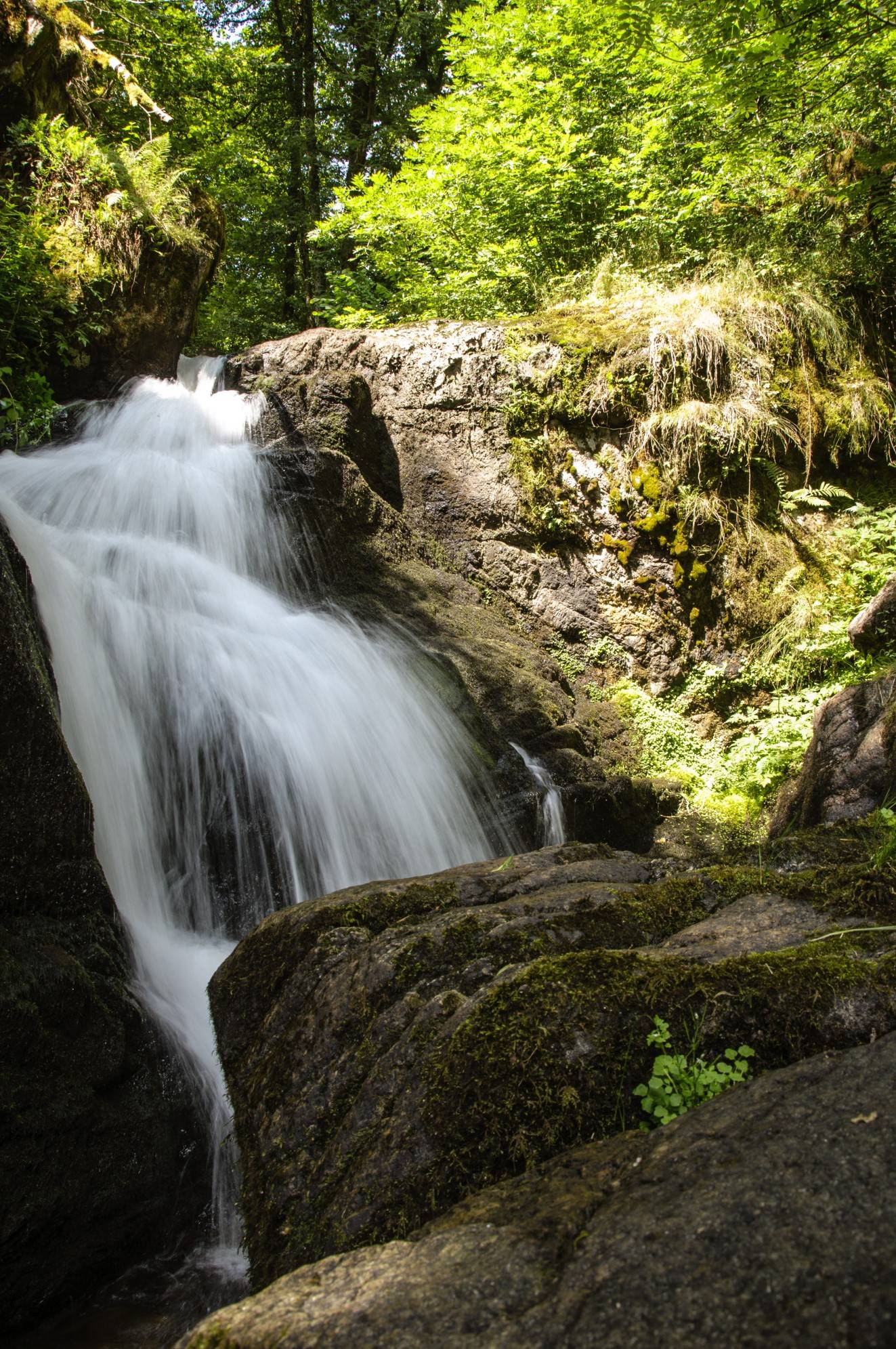 Photo de Les Cascades de la Vigne