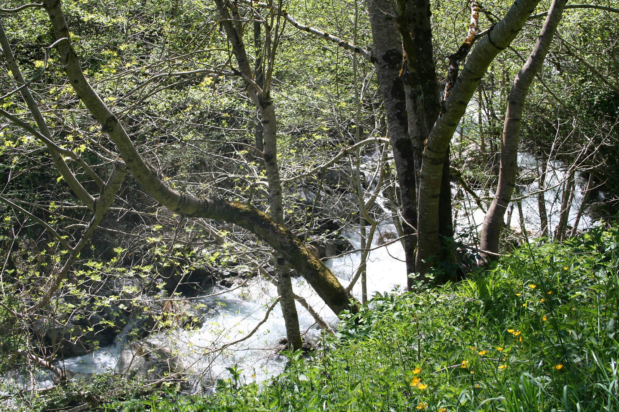 Photo de Cascade de Seris