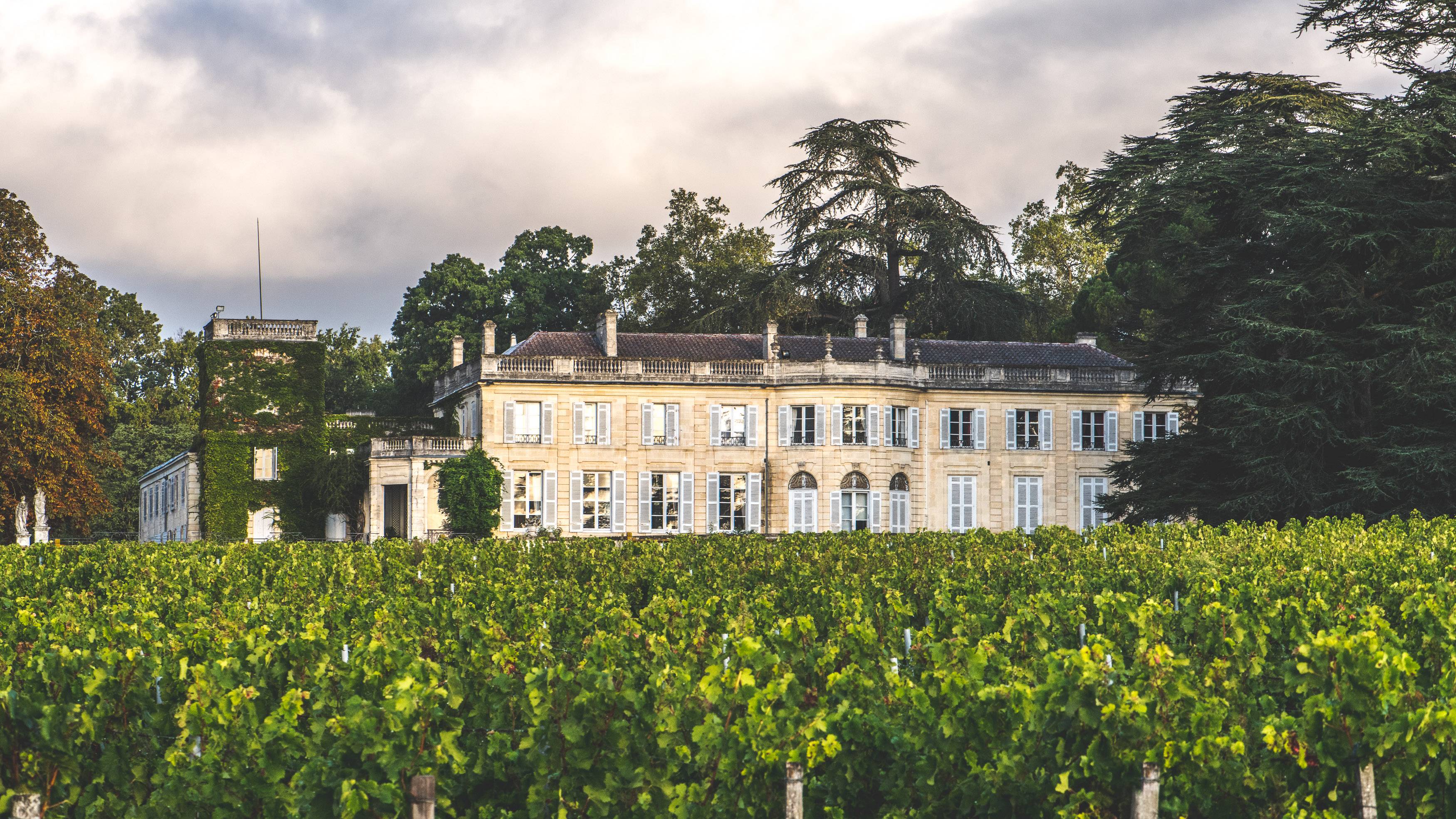 Photo : Château du Taillan
