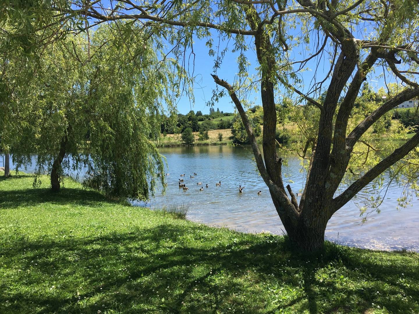 Photo : Lac de l'Y