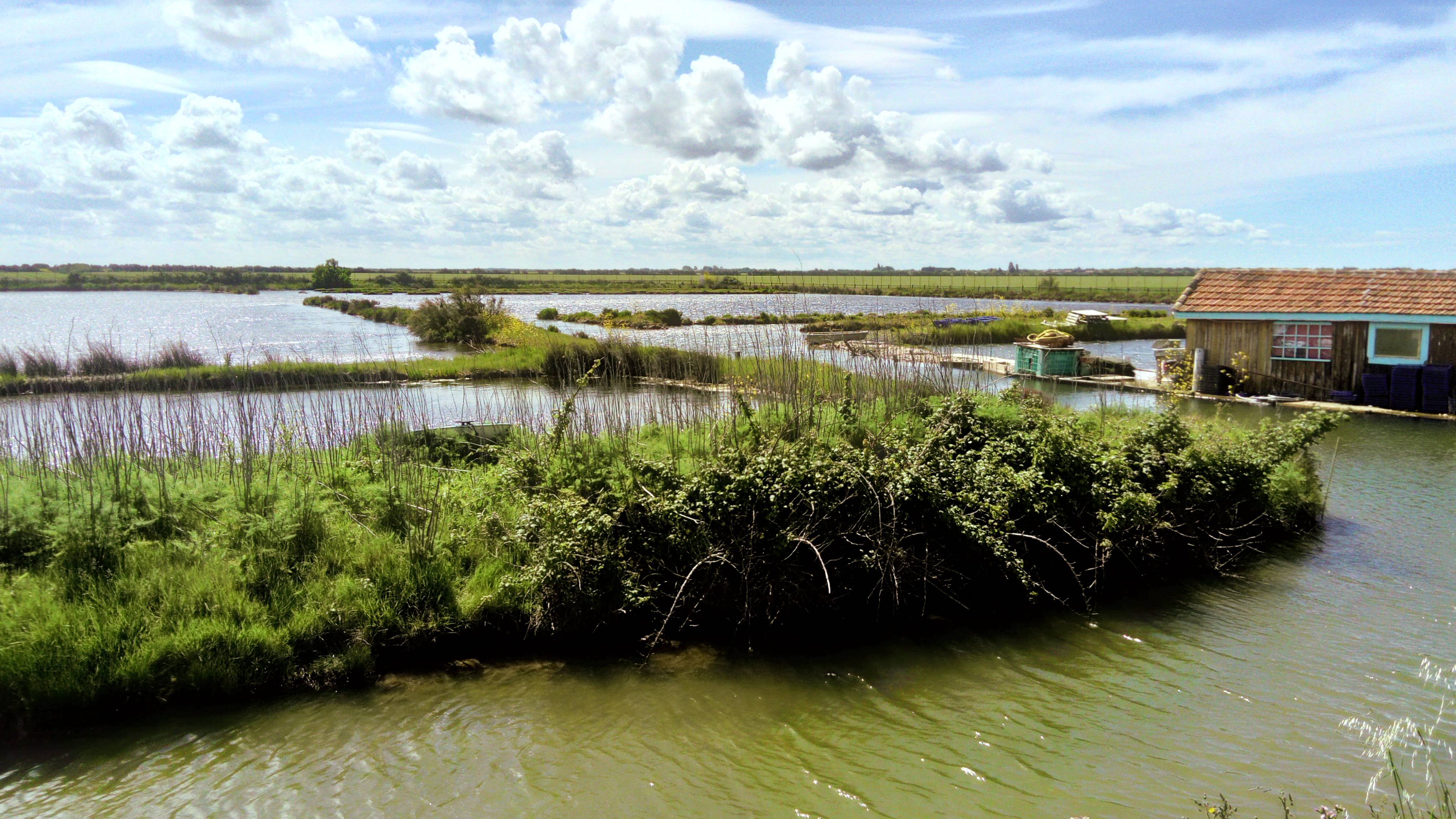 Photo : Marais du Baluard