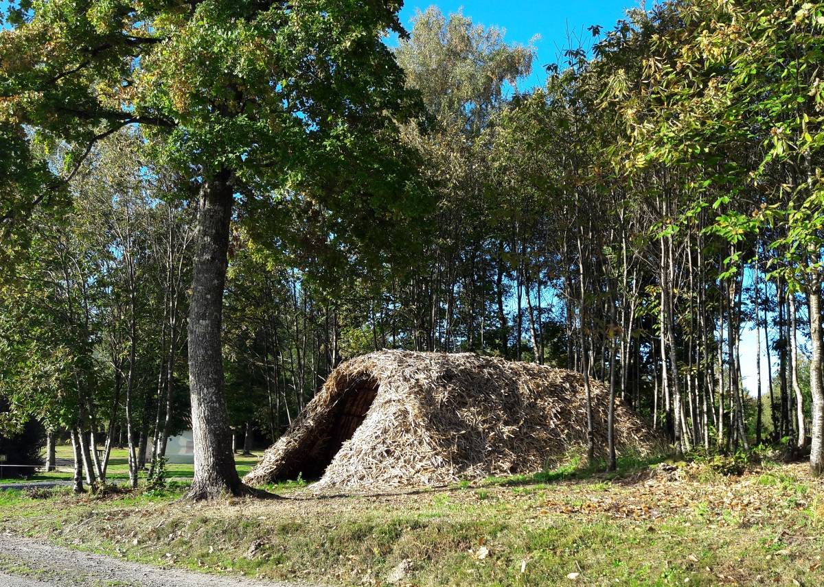 Photo de Cabane de feuillardier à Masselièvre
