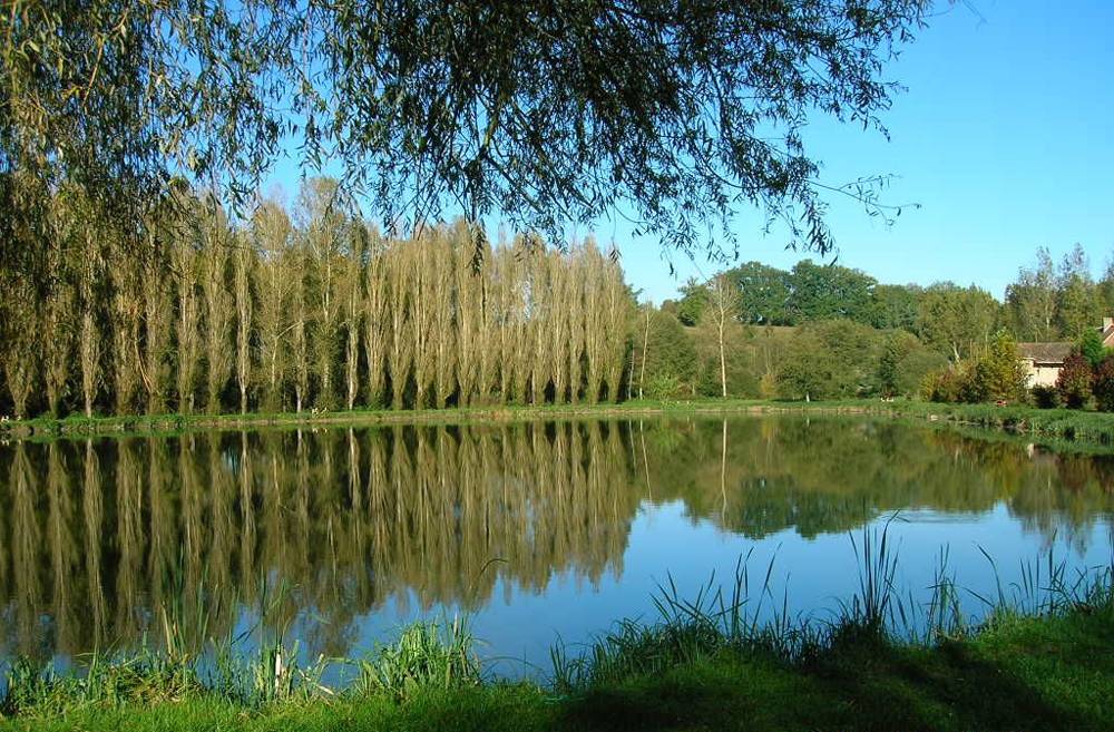 Photo de Etang du Roy