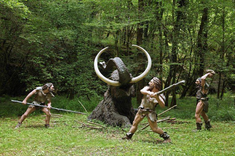 Photo de Préhisto Parc