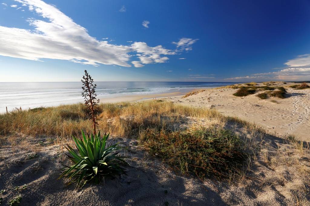 Photo : Plage du Vivier