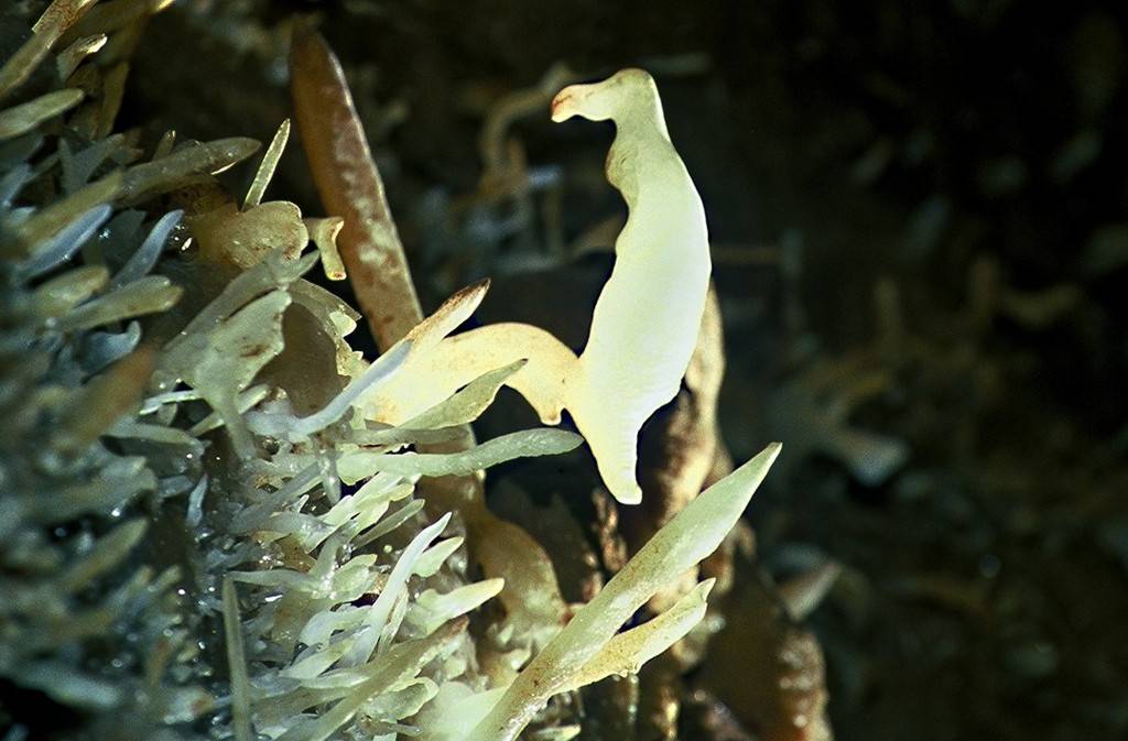 Photo de Grotte de Maxange