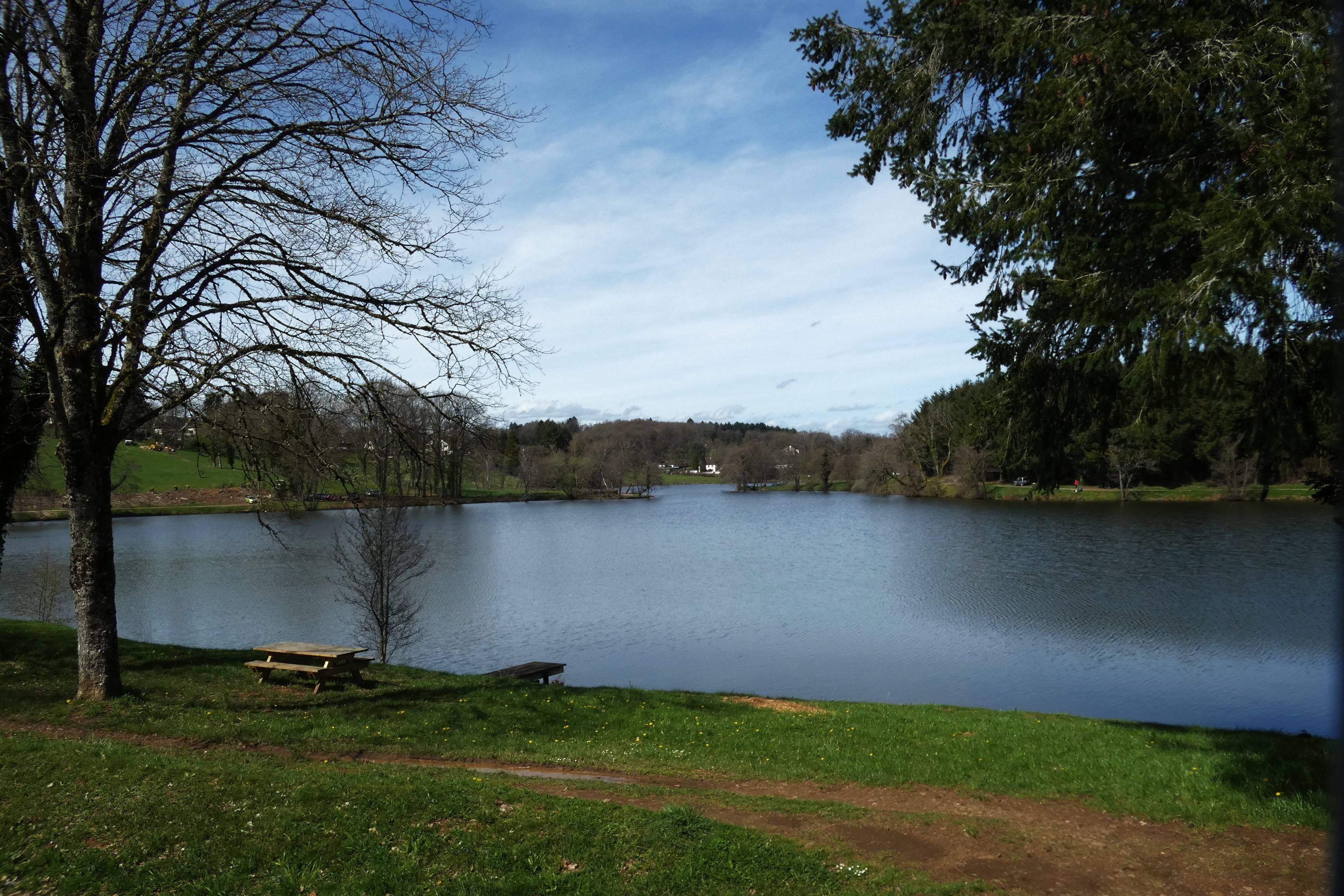 Photo de Trefle des étangs