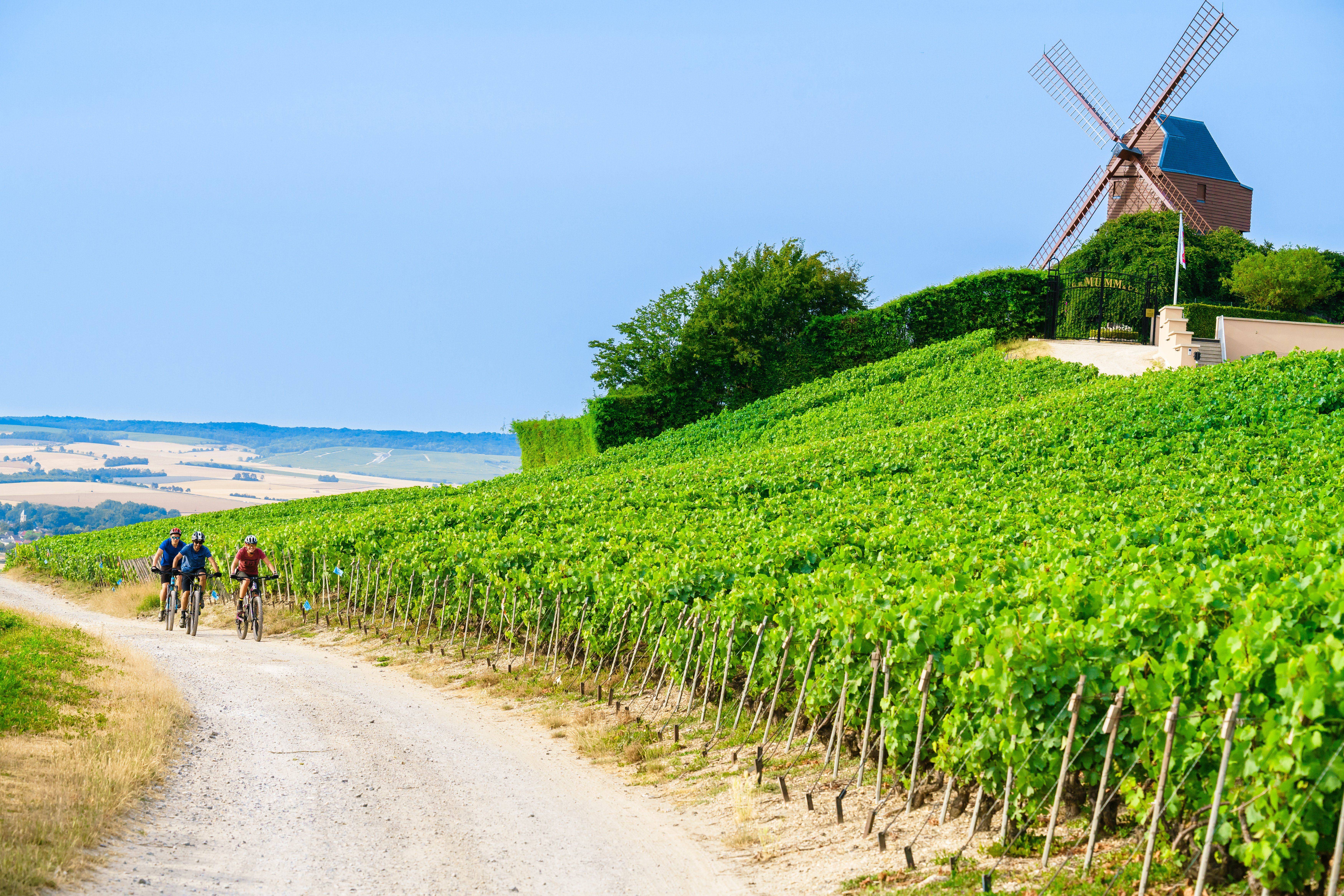 Photo de Moulin de Verzenay