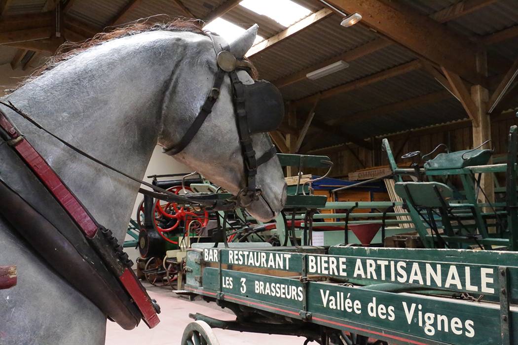 Photo de Musée du cheval de trait