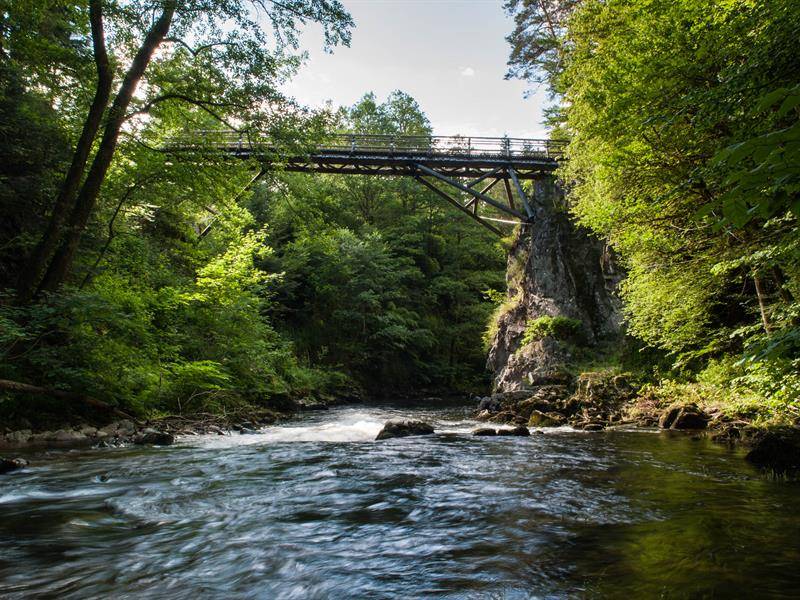 Photo : Les gorges de Crosery