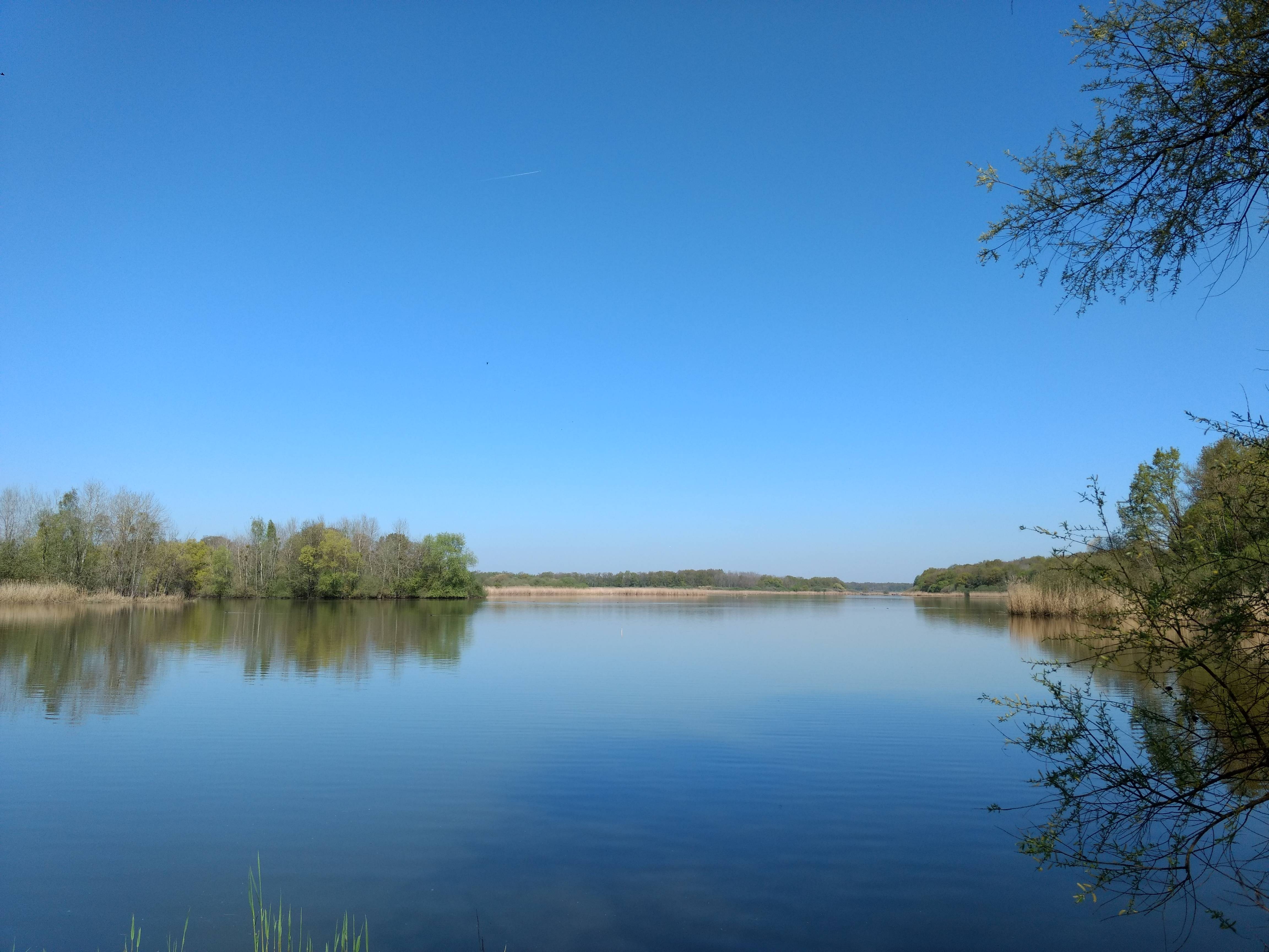 Photo de Etang de la Horre