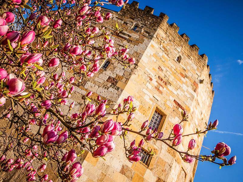 Photo de Musée de la Tour aux Puces