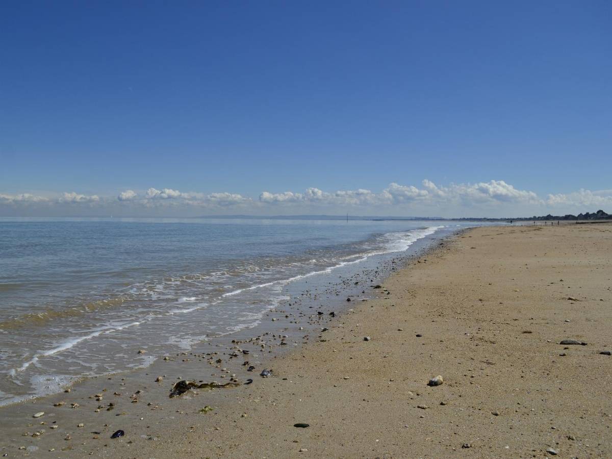 Photo de Plage du Bas-Lion