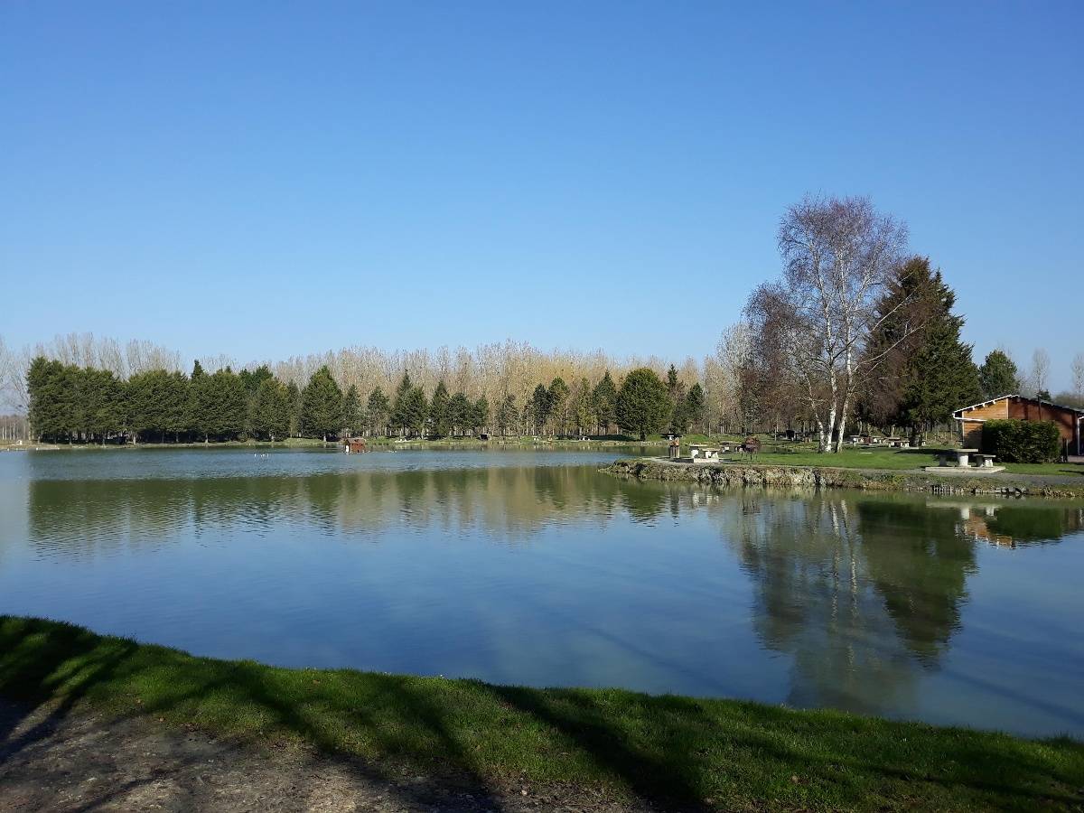 Photo de Étang du Colvert