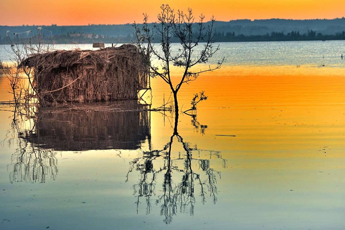 Photo : ETANG DE CAPESTANG