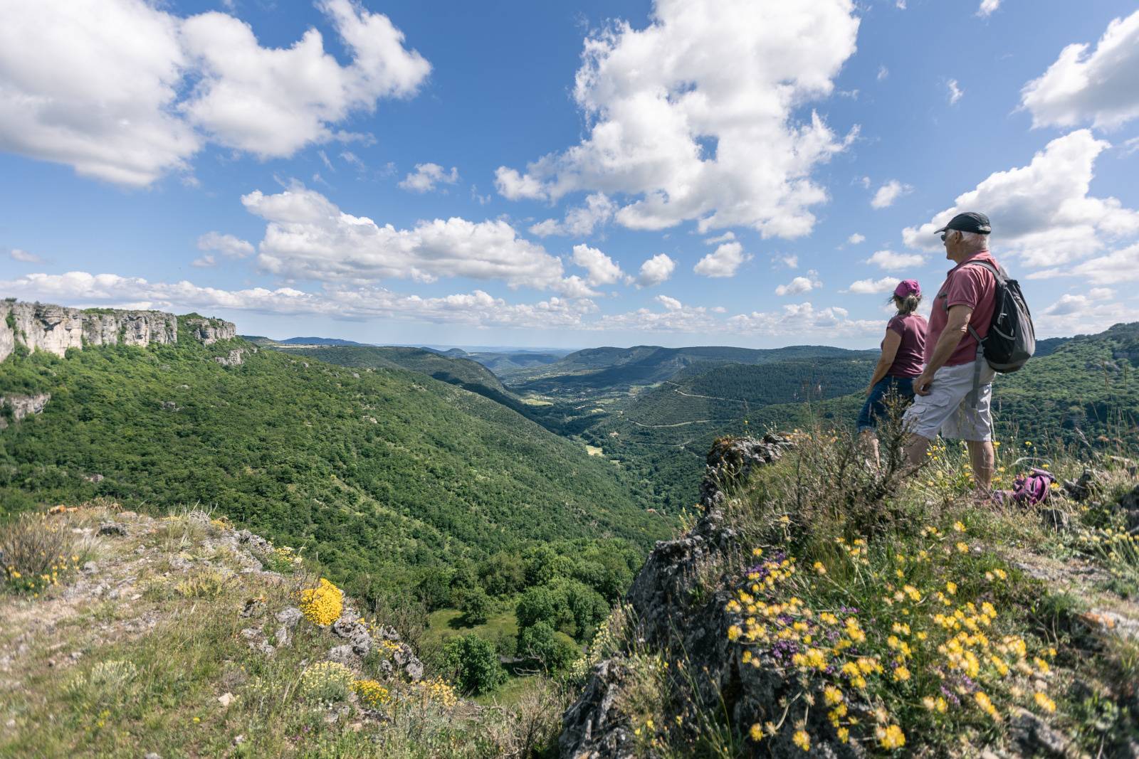 Photo de LE CIRQUE DE LABEIL