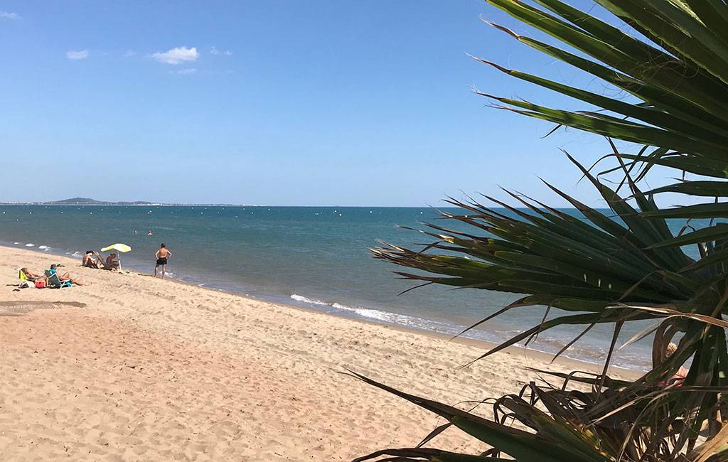 Photo : PLAGE LE BOSQUET