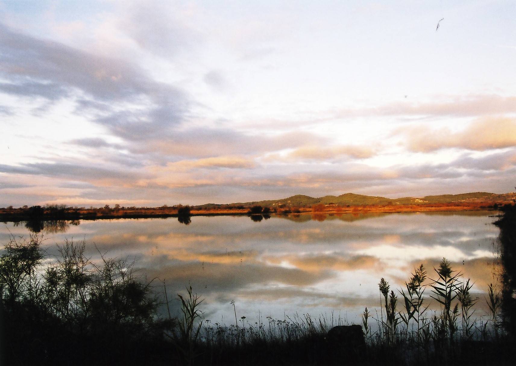 Photo : ETANG DE LA MATTE