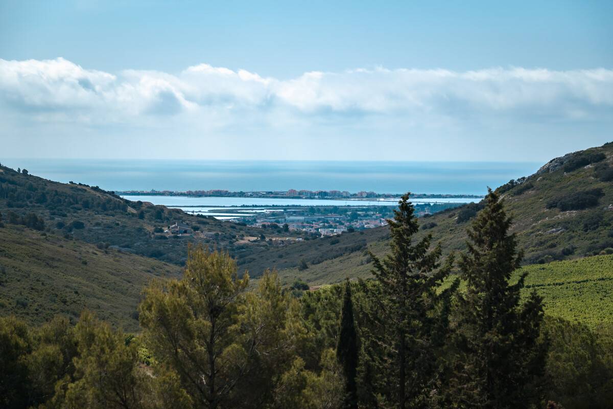 Photo : LE MASSIF DE LA GARDIOLE