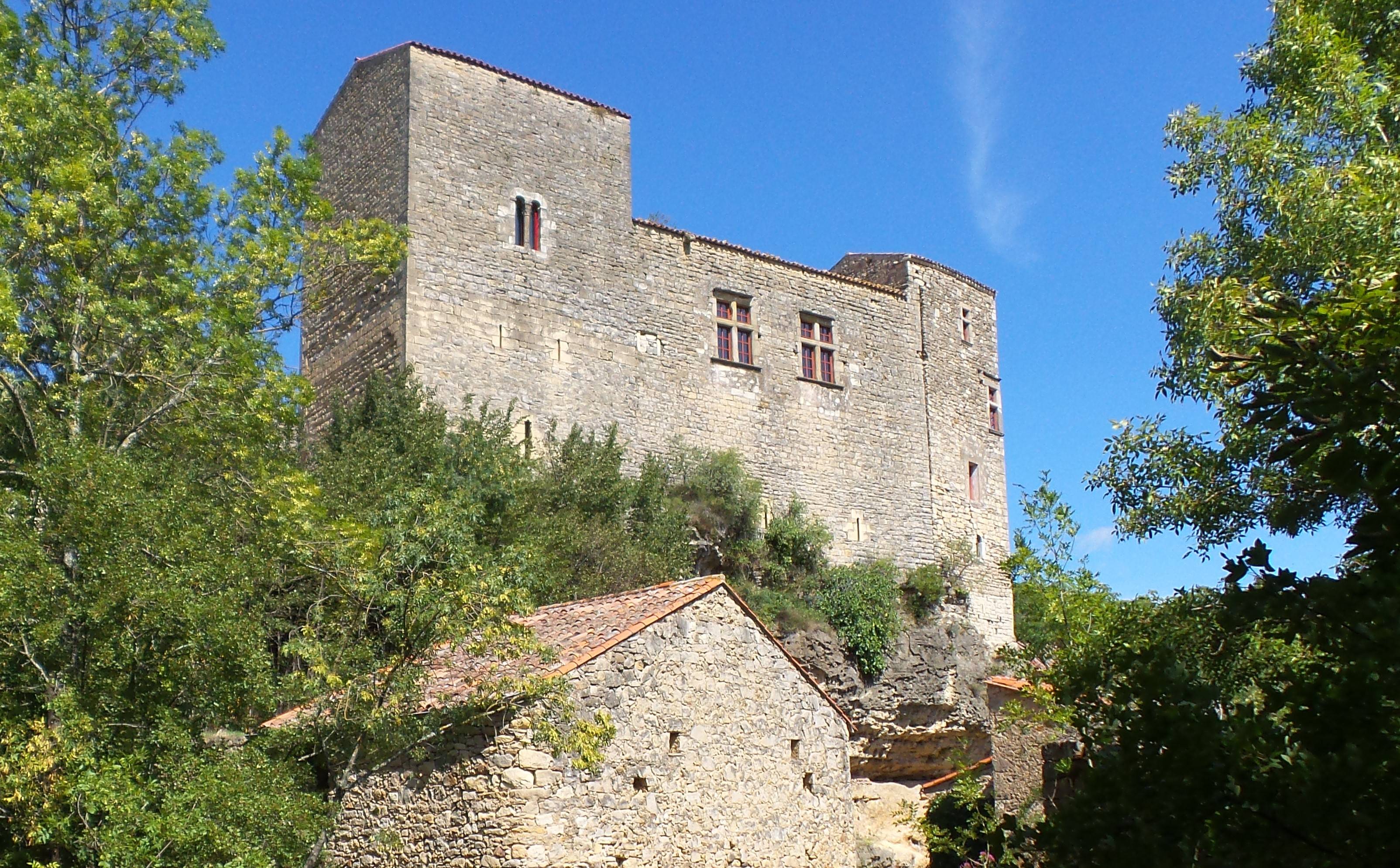 Photo : CHATEAU BAS DE BOUSSAGUES