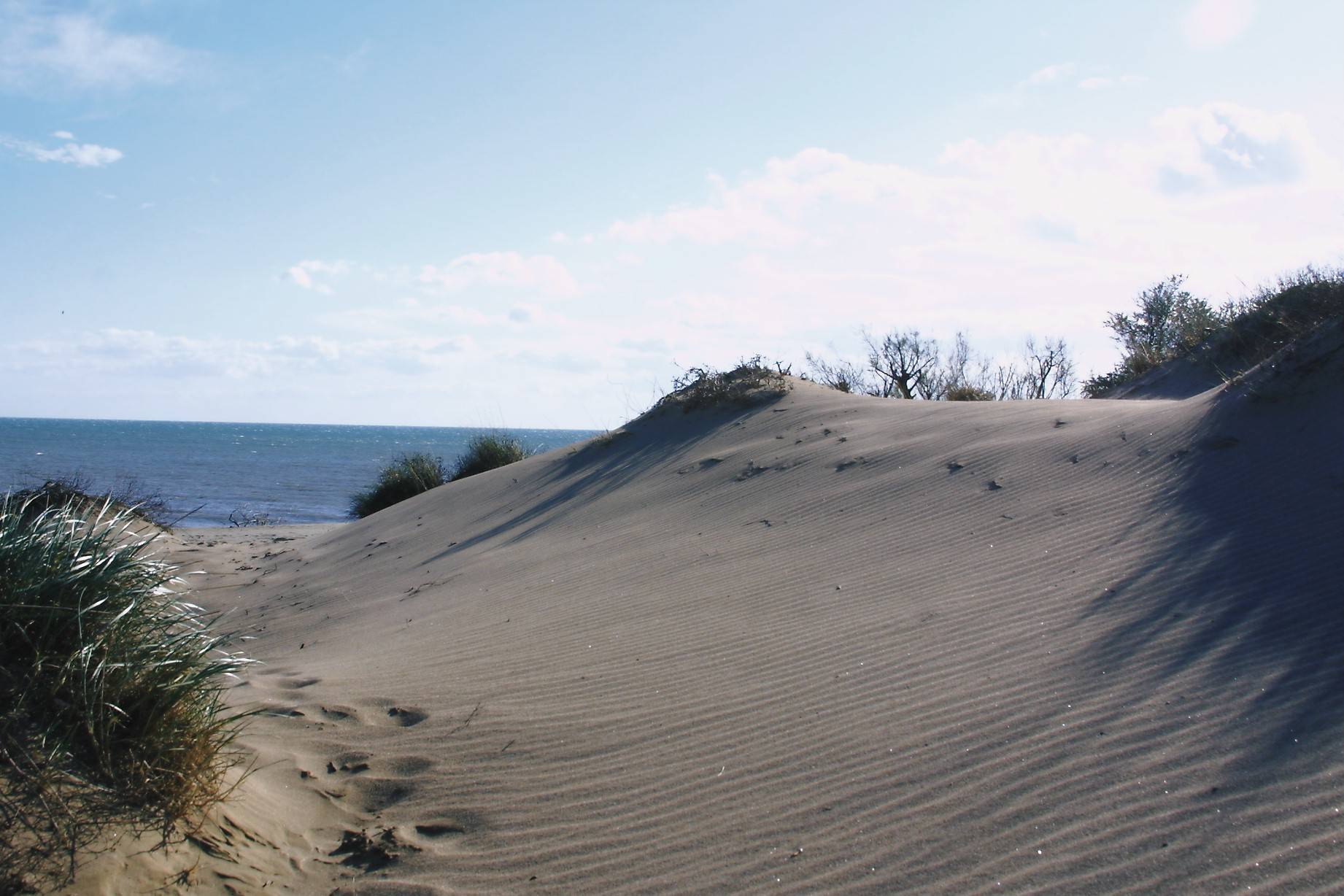 Photo : LE CORDON DUNAIRE