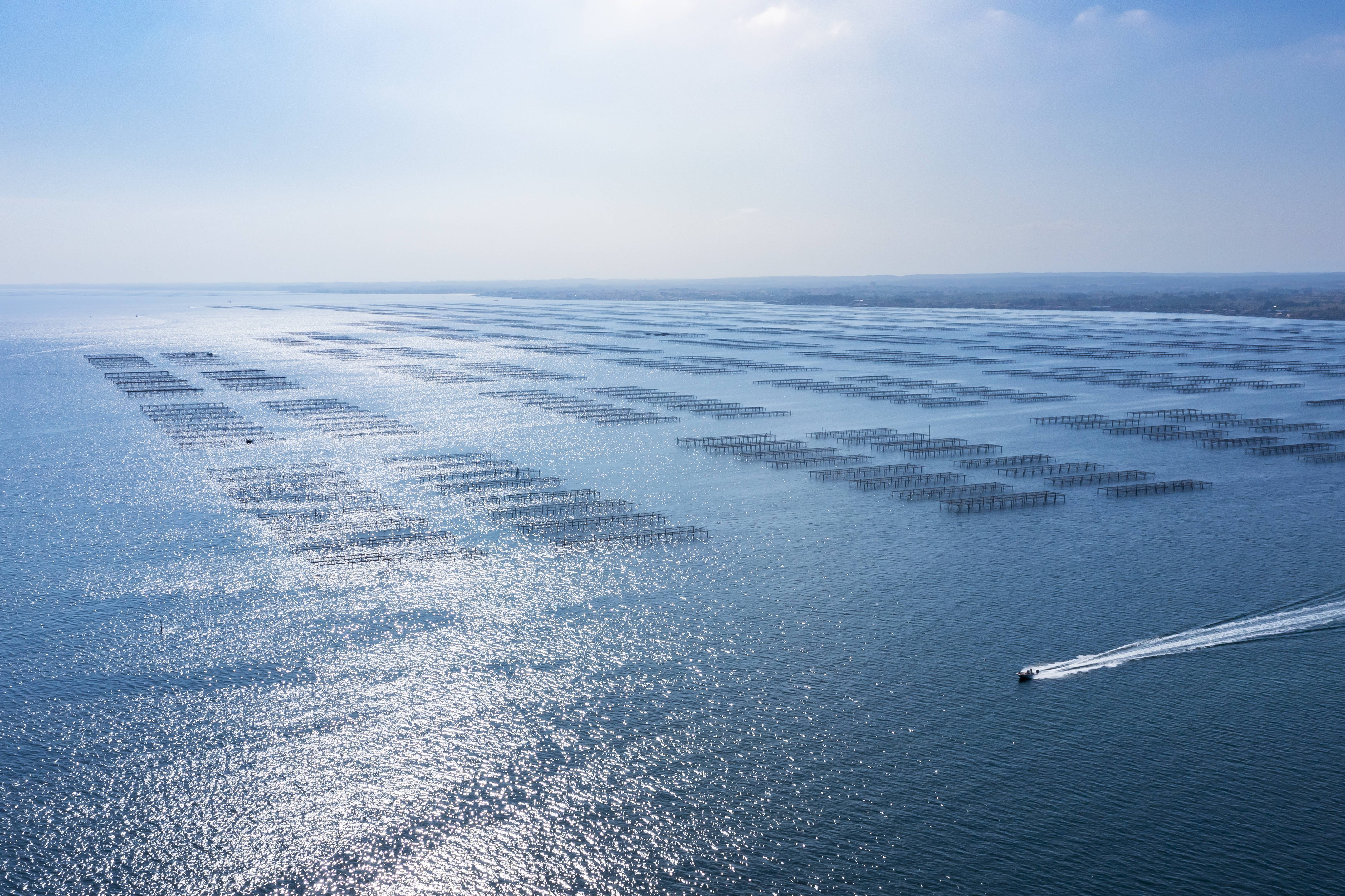 Photo de L'ÉTANG DE THAU