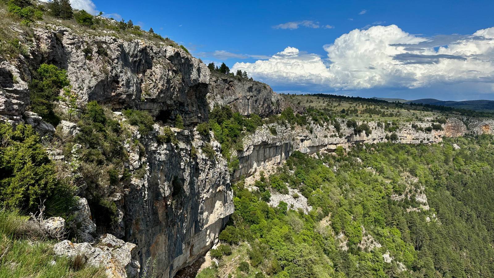 Photo de LE CIRQUE DU BOUT DU MONDE