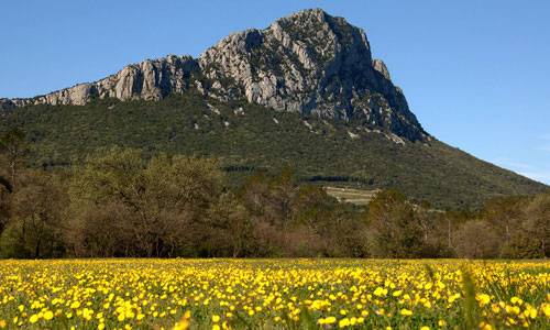 Photo de PIC SAINT-LOUP