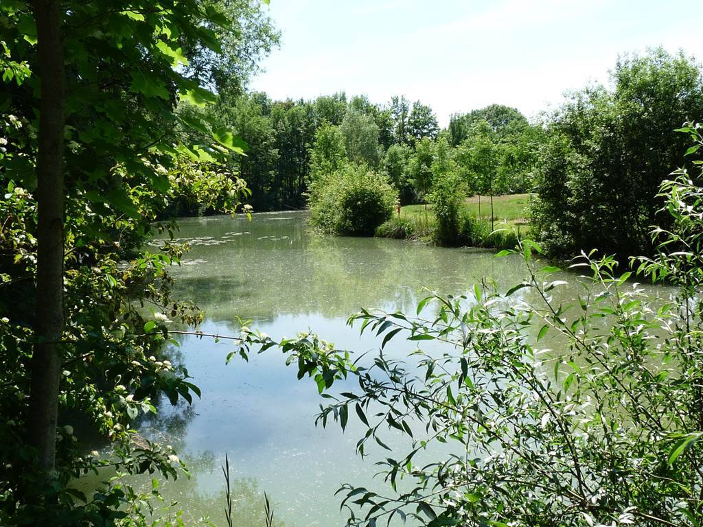 Photo de Étang d'Asfeld