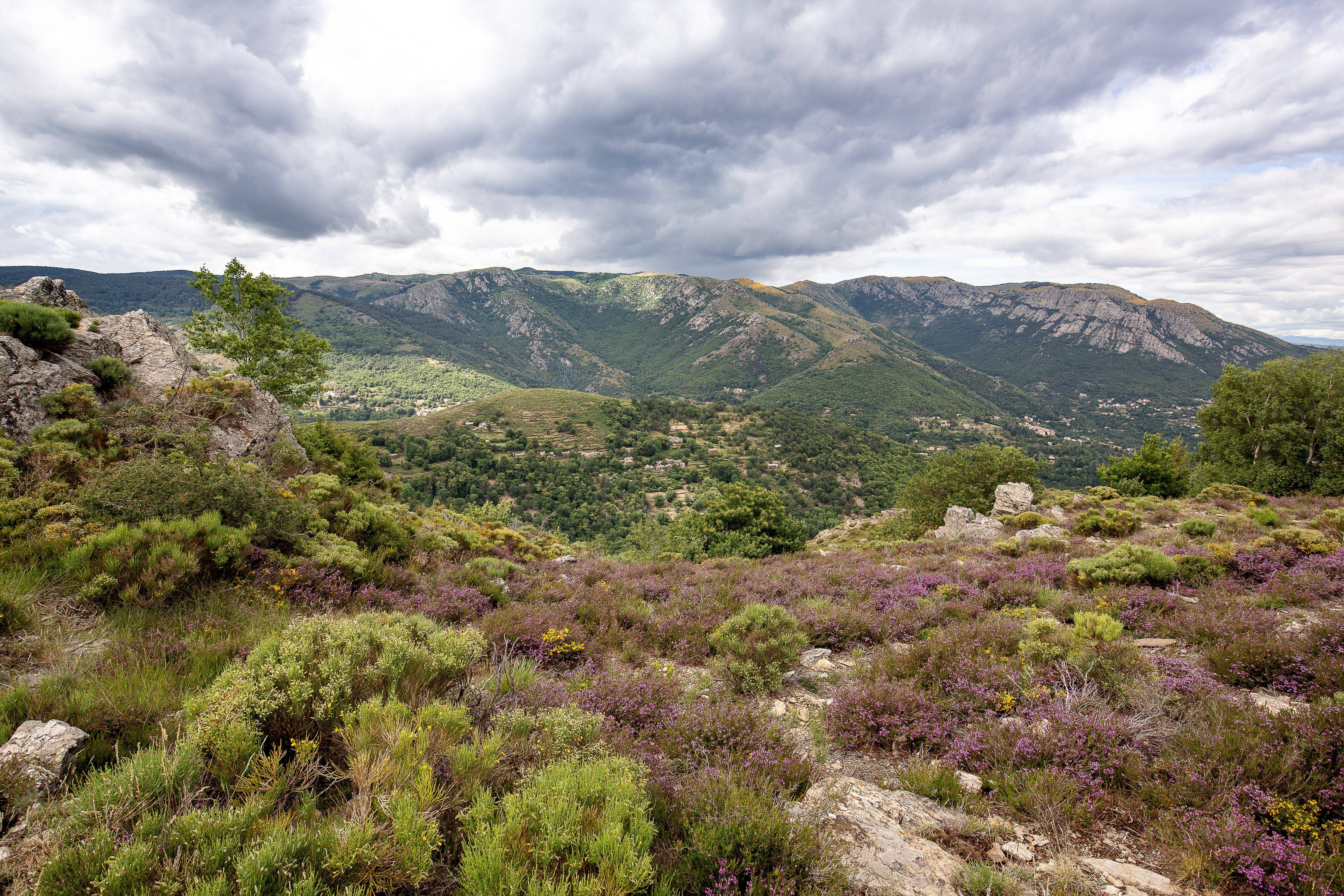 Photo de COL DE BANETTE