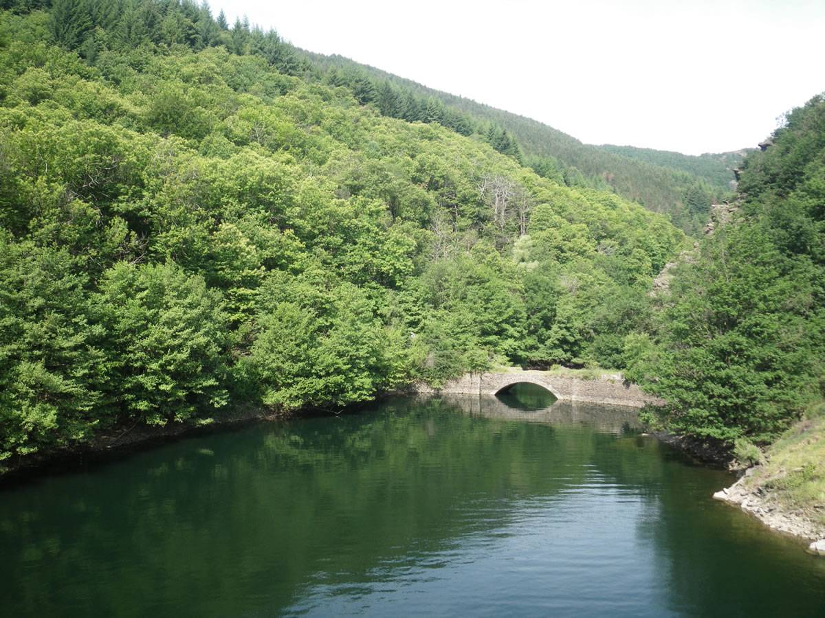 Photo de LAC DE ROUJANEL