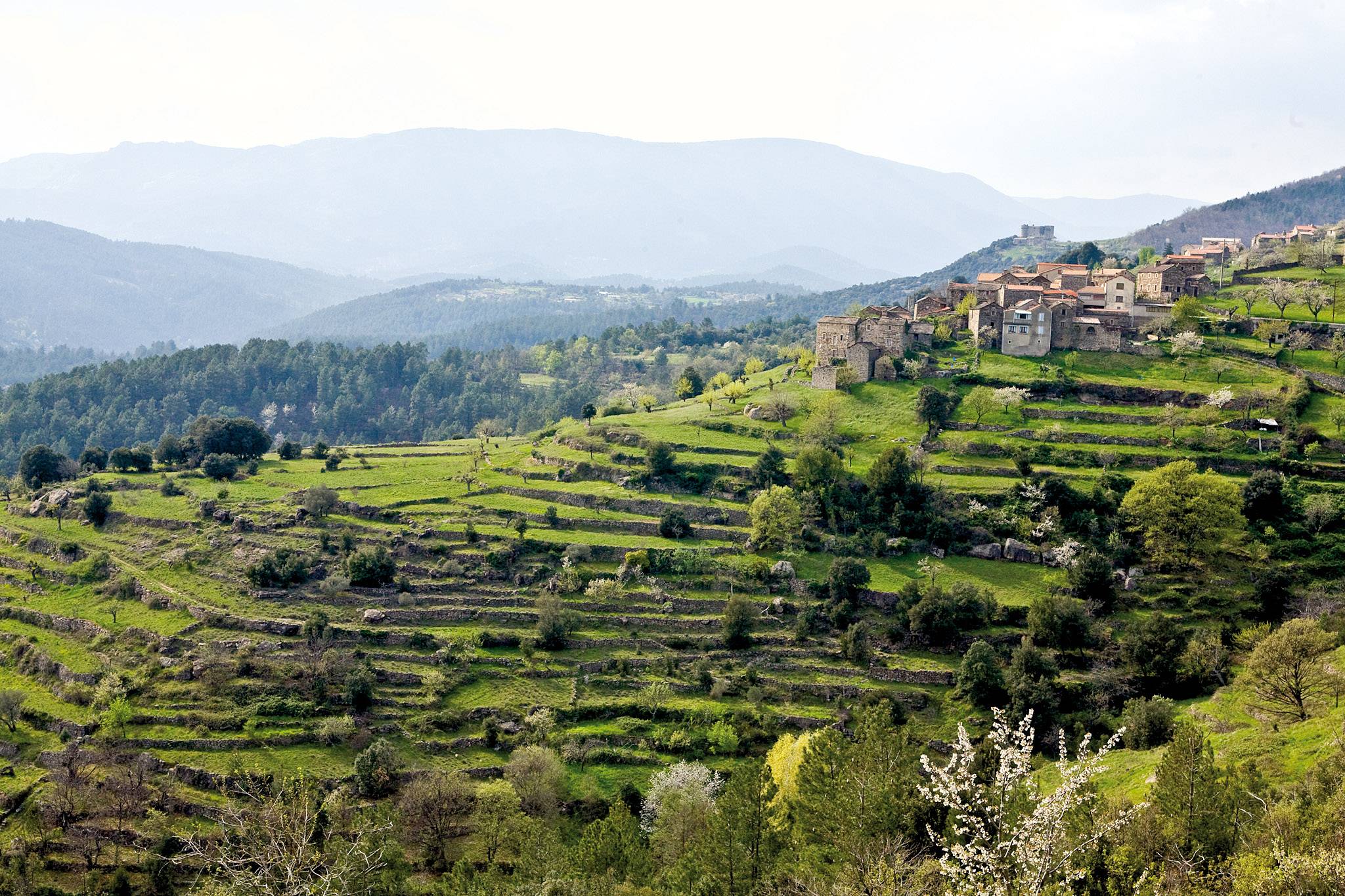 Photo de LES BANCELS CEVENOLS