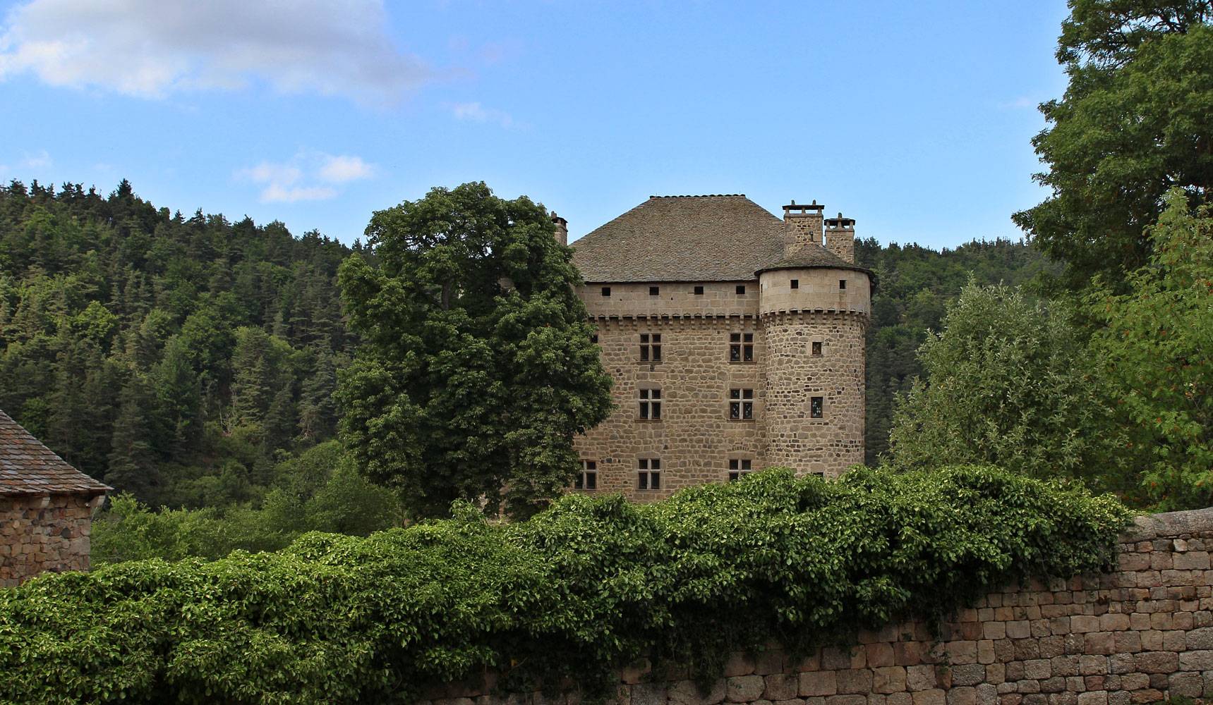Photo de CHATEAU DU FORT