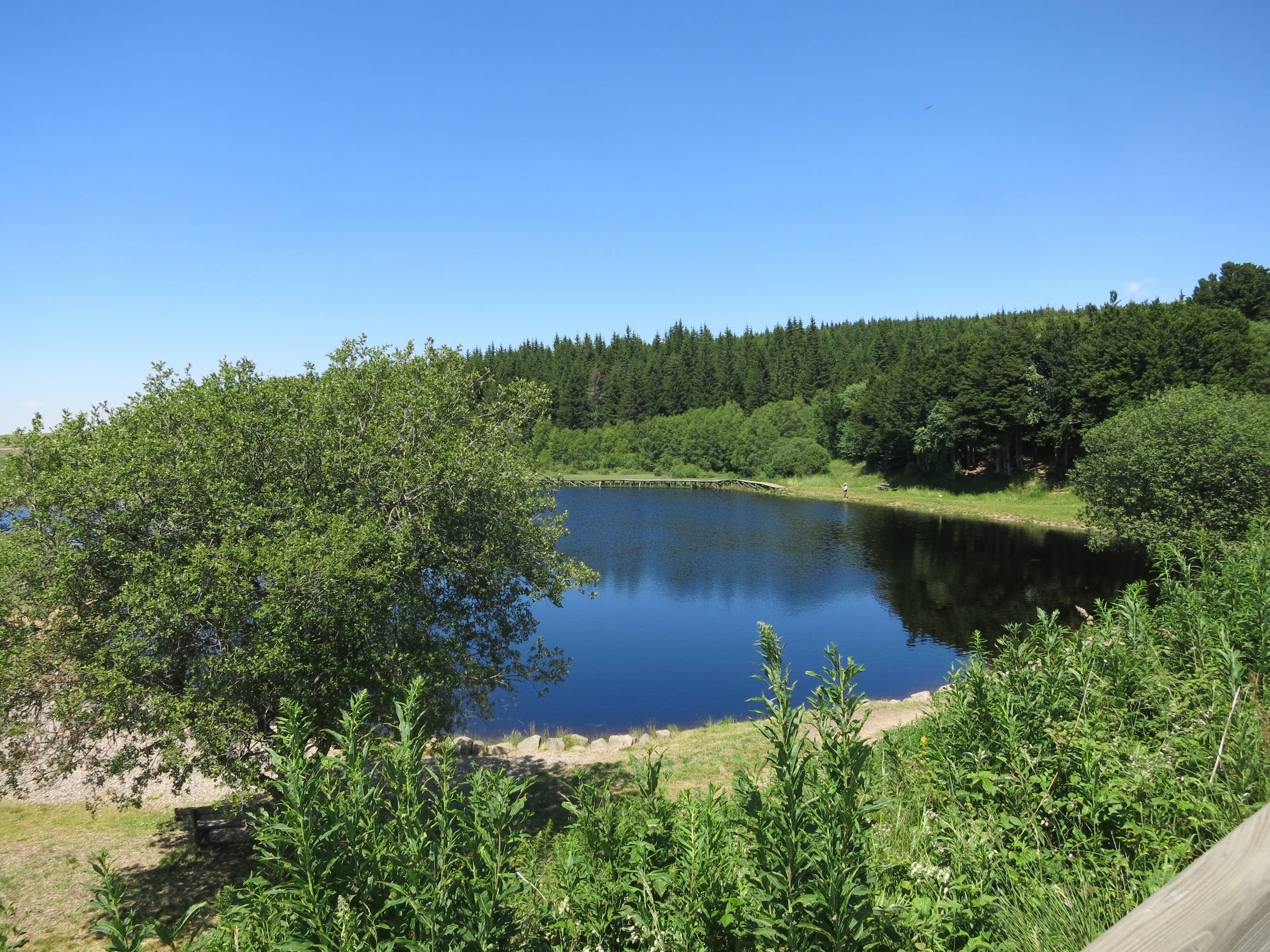 Photo : ETANG DE BONNECOMBE