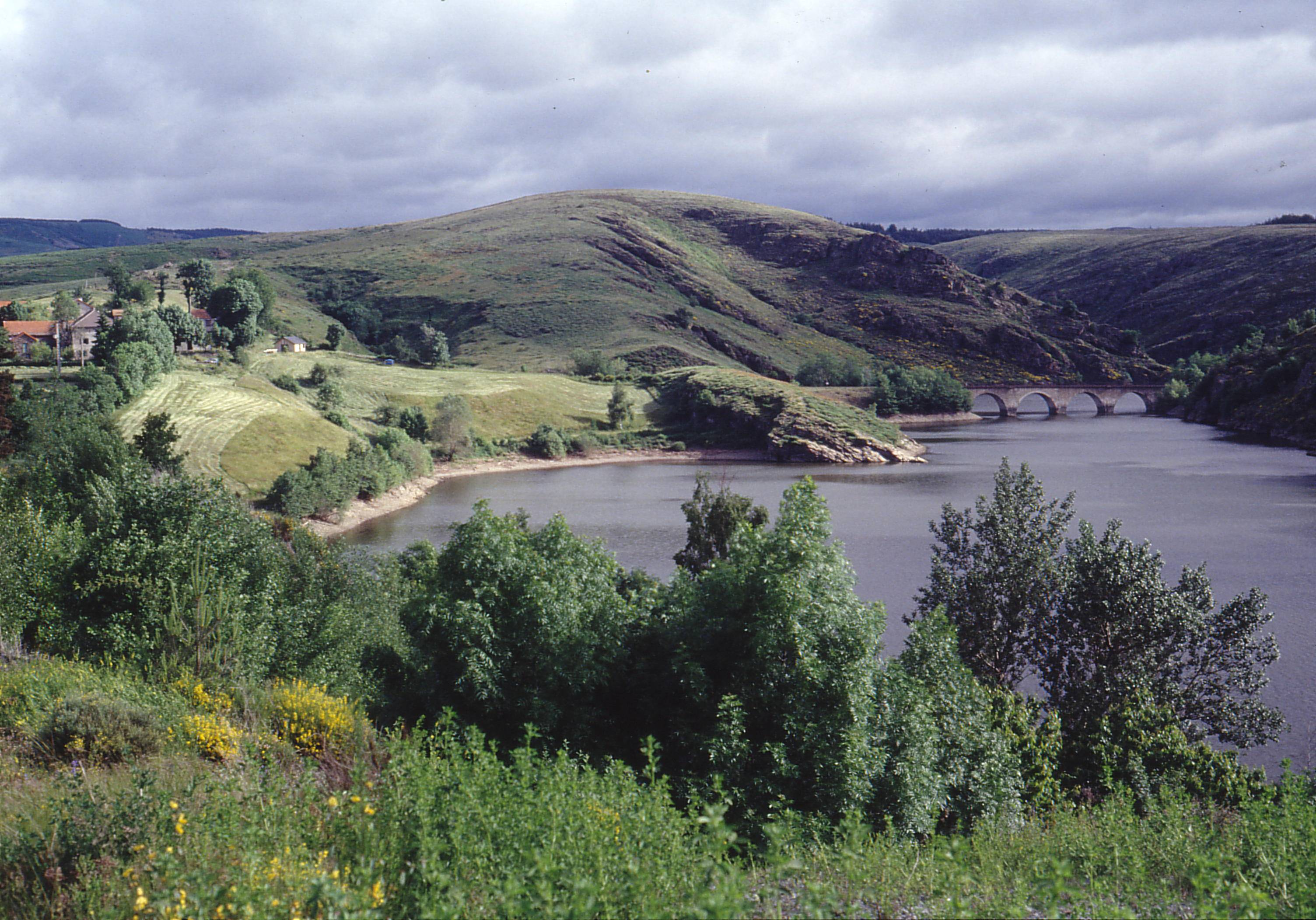 Photo de LAC DU RACHAS