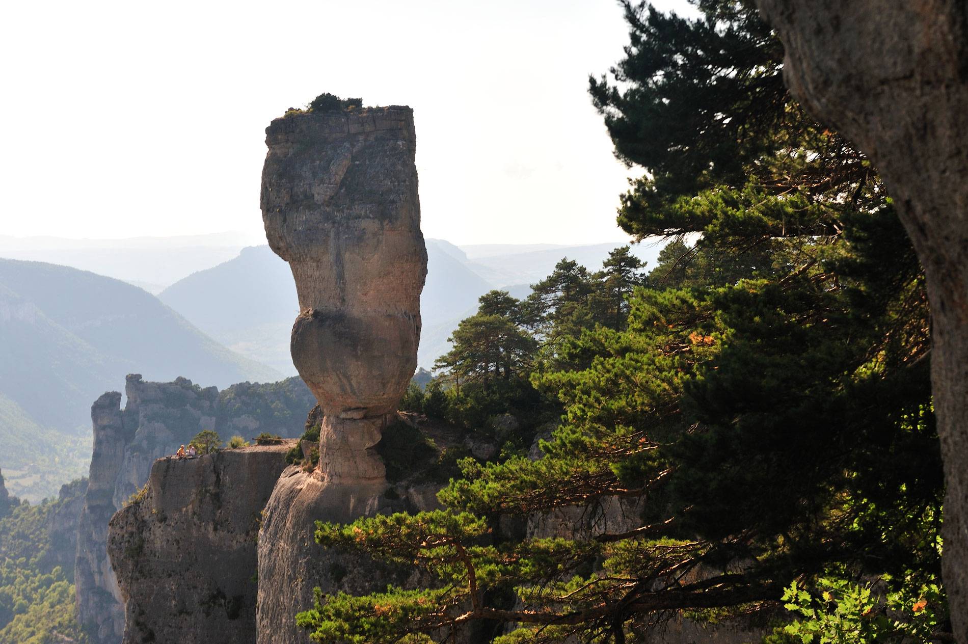 Photo de VASE DE SEVRES